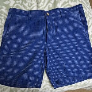 Goodfellow & Co Blue Flat Front Shorts